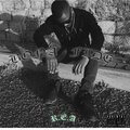 rea - BONA FIDE (Explicit)