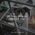 50 Serene Songs for Sleep For Dogs