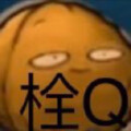 良良 - 古筝行动