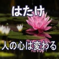はたけ - 人の心は変わる