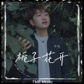 尹涛 - 栀子花开