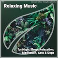 instrumental、Relaxing Music by Melina Reat、Meditation - Relaxing Music, Pt. 2