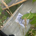 jah2230 - 1oi.8237