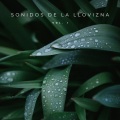 Música de la Naturaleza、Estudio de sonidos de lluvia、Maestros de música de la meditación - Lluvia En La Noche