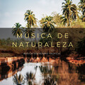 Sonidos de la Naturaleza Ruido Blanco Para Bebes、Sueño Encantado、Relajacion - Sonidos De La Naturaleza