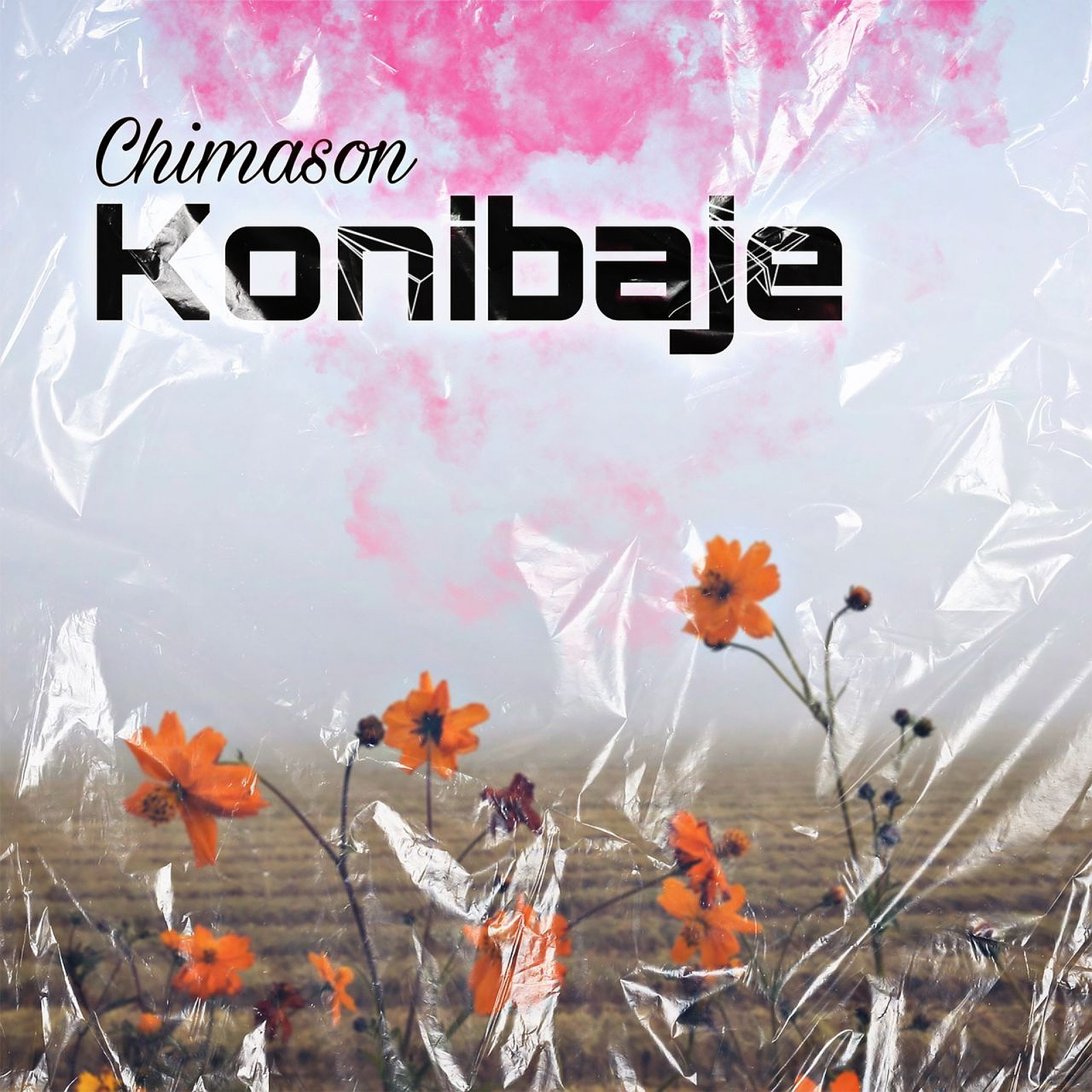 Chimason - Konibaje