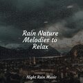 Rain Nature Melodies to Relax
