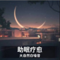 猫书 - 夜宿林外海滩mp3