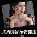 悦瑶 - 我真的舍不得你走