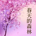 春天的森林 - 大自然音乐水流声, 大自然冥想, 放松心情的自然环境音