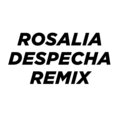Fran Garro - Rosalia Despecha (Remix)
