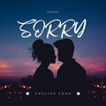 suraj - Sorry