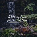 50 Sleepy Songs for Peaceful Sleep