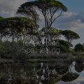 Namaste Healing Yoga、Meditation & Stress Relief Therapy、Yoga Workout Music - Touch