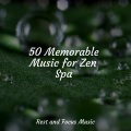 Exam Study Classical Music、Tibetan Singing Bowls for Relaxation、Asian Zen Spa Music Meditation - Love in Connection