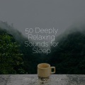 The Sleep Helpers、Study Music、Rising Higher Meditation - Pleased to Be