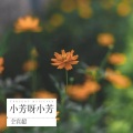 仝宾超 - 小芳呀小芳