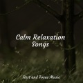 Massage Therapy Music、Guided Meditation、Relaxation Music Guru - Dragonfly Wings