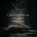 Calming Nature Infused Melodies