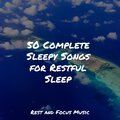 50 Complete Sleepy Songs for Restful Sleep