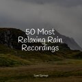 50 Most Relaxing Rain Recordings
