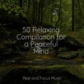 50 Relaxing Compilation for a Peaceful Mind