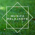 Calma y Relajación、Luis Suarez - Ambiente