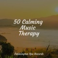 Nature Music Pregnancy Academy、Ambient Music Therpy、Meditation Music Club - Find Yourself