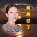 雪蝶 - 今生的眷恋