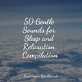 Binaural Beats Brain Waves Isochronic Tones Brain Wave Entrainment、Relajantes sonidos de lluvia、Rainforest Sounds - Find Yourself