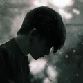 王朝、洛天依 - 梨花雨
