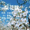 《梨花飘》 (DJ默涵版)