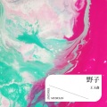 王玉鑫 - 野子