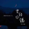 张叔公emo了 - 曾经你说