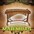 Marimbas Clasicas、Grandes Marimbas - Me Volvi A Acordar De Ti