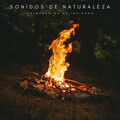 Sonidos De Naturaleza: Chimenea En El Invierno