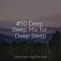 #50 Deep Sleep Mix for Deep Sleep