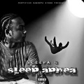 Sleepa G、JAYO - 35 Flavors (Explicit)