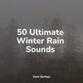 50 Ultimate Winter Rain Sounds