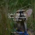Calm & Soft Music Pieces | Relaxation For Dogs