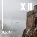 JAGUAR- - 黑瘦黑瘦
