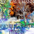 A.J. Kaufmann - Child of the Universe
