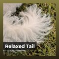 Relaxed Tail