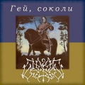 Гей, соколи