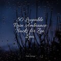 50 Loopable Rain Ambiance Tracks for Zen Spa