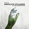 Reiki Healing Consort - Timeless Motion