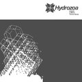 Collision (Timmo Remix)