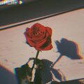 Rose Marie - You Should Know