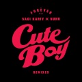 Cute Boy (Remixes)