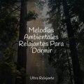 Melodías Ambientales Relajantes Para Dormir